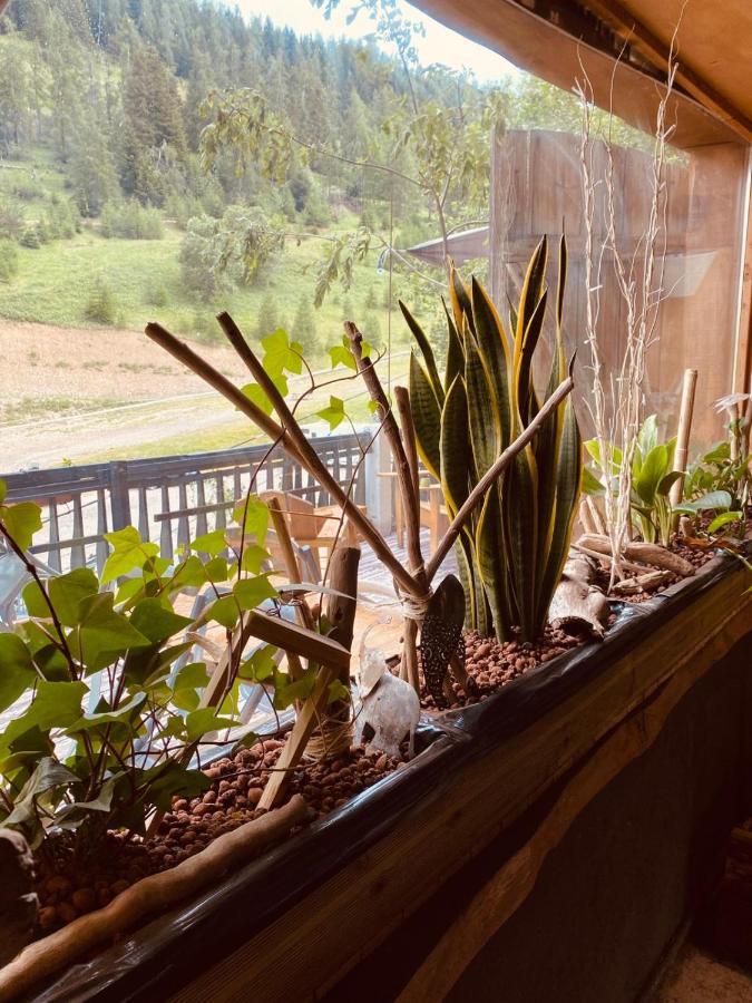 Hotel Green Ecolodge La Colmiane Eksteriør bilde