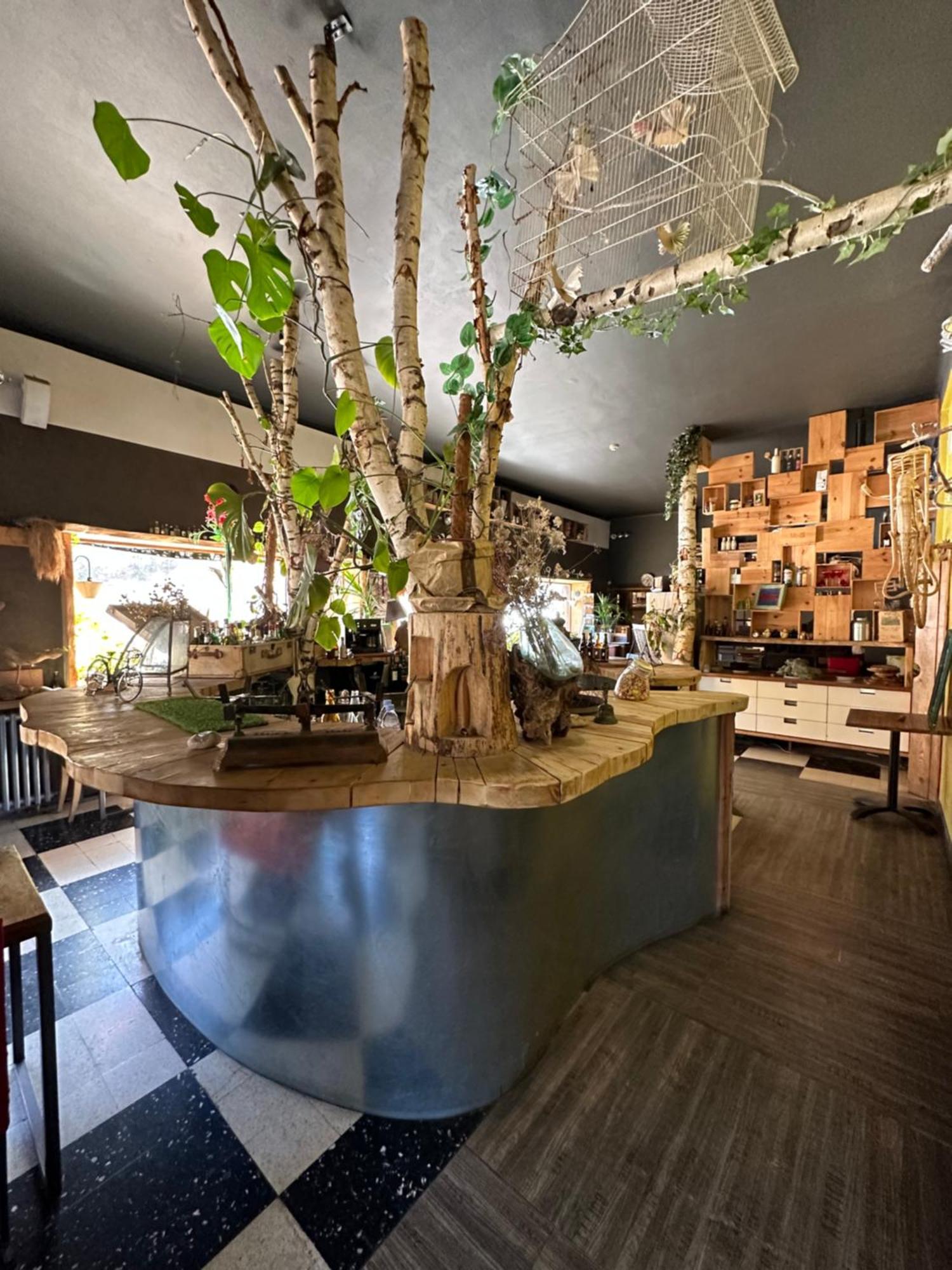 Hotel Green Ecolodge La Colmiane Eksteriør bilde